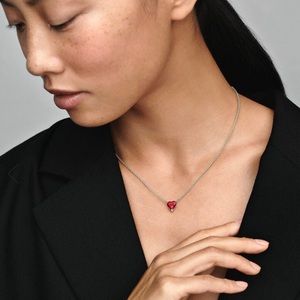 Pandora Heart - Earring & Necklace Set